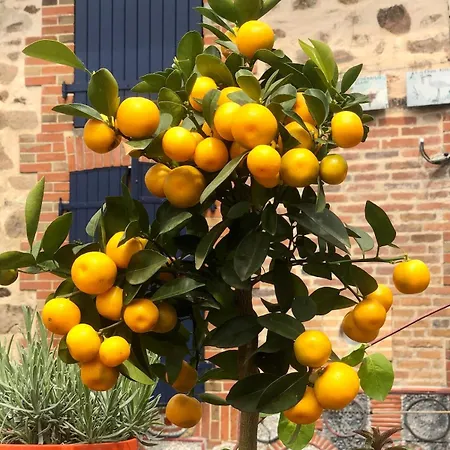 La Grange Du Noyer Дом отдыха