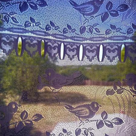 La Grange Du Noyer * Abzac (Charente)